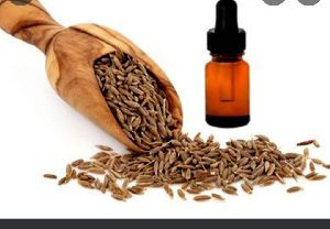 Cumeen Seed Oil