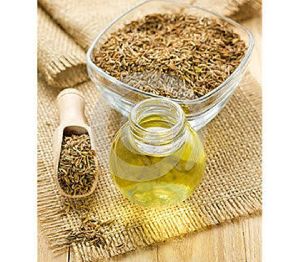 Fennel Seed Oil