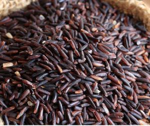 Black Rice