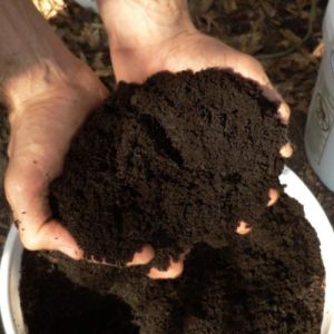 vermicompost