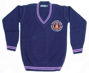 Blue Full Sleeve School Sweater