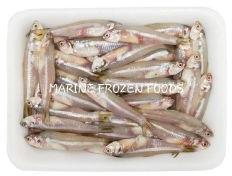 Frozen Sea Keski Fish