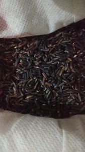 Black Rice