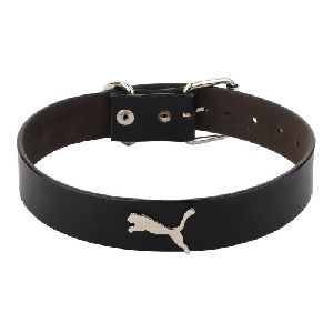 Leather Dog Collar