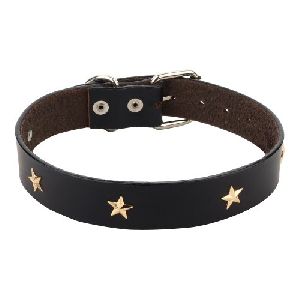 Leather Dog Collar