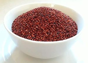 Finger Millet Seeds