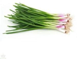 Fresh Spring Onion