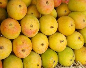 Fresh Alphonso Mango