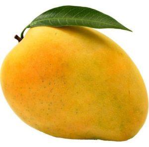 Fresh Kesar Mango