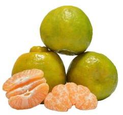 Fresh Nagpur Orange