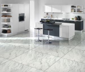 Ceramic Vitrified Floor Tiles