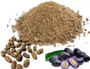 Jamun Seed Powder