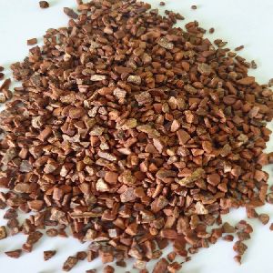 TBC Cinnamon Seeds