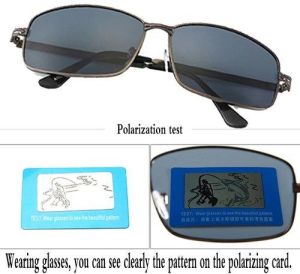 polarized sunglasses