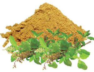 Basil Tulsi Extract