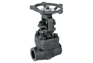 Forged Steel Gate Valve