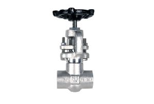 Forged Steel OS & Y Type 1 Globe Valve
