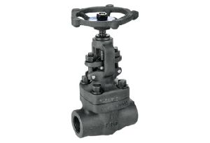Forged Steel OS & Y Type 2 Globe Valve