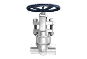 Forged Steel Pressure Seal Globe Valve