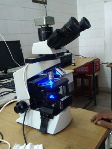 Olympus Laboratory Microscope