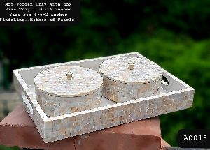 Mop Dry fruit tray Boxes