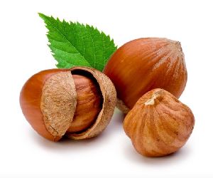 Hazelnuts