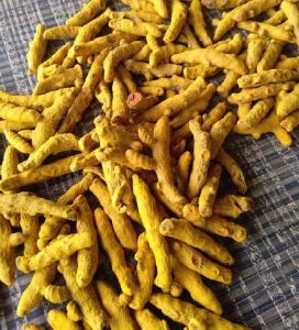 Turmeric Finger