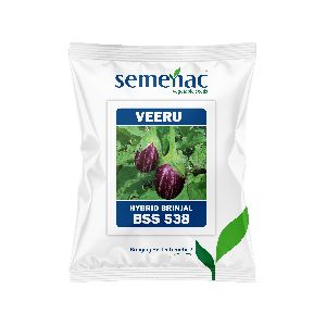 SVSPL BRINJAL Seeds 10 gm Variety: Veeru