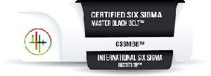 Six Sigma Master Black Belt Training Services