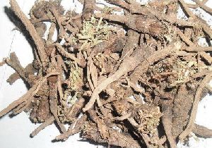 Dry Akarkara Roots