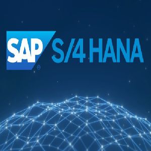 SAP S4hana Server Access SERVICES