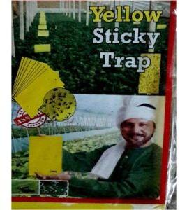 Yellow Sticky Trap