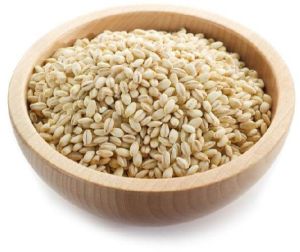 Barley