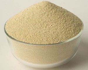 Soybean Meal