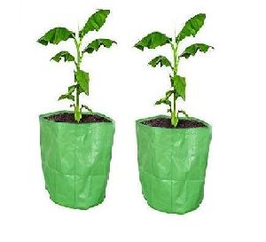 Grow Bags
