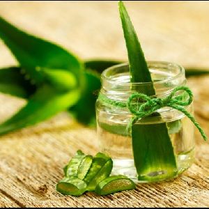 Aloe Vera Extract