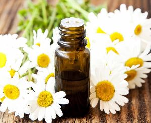 Chamomile Oil