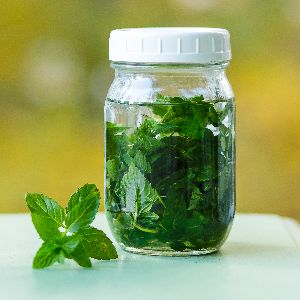 mint extract