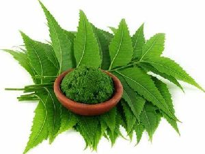 Neem Extract