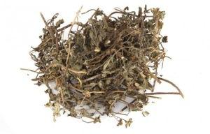 Bhringraj Herb