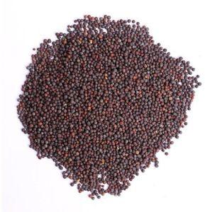 Mustard Seeds