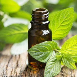 Peppermint Essential Oil