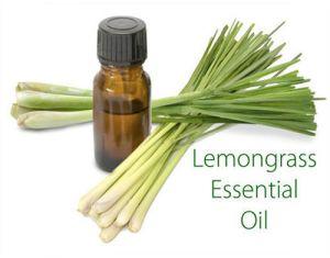 Lemongrass Essential Oil