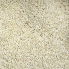 Short Grain Basmati Rice