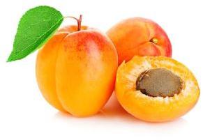 Fresh Apricot