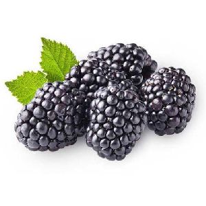 fresh blackberry