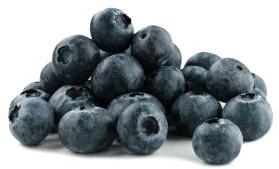 Fresh Blueberry