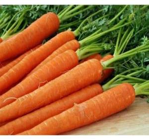 Fresh Carrot