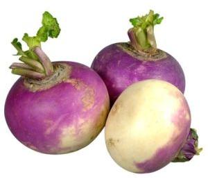 Fresh Turnip