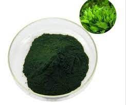 Spirulina Powder